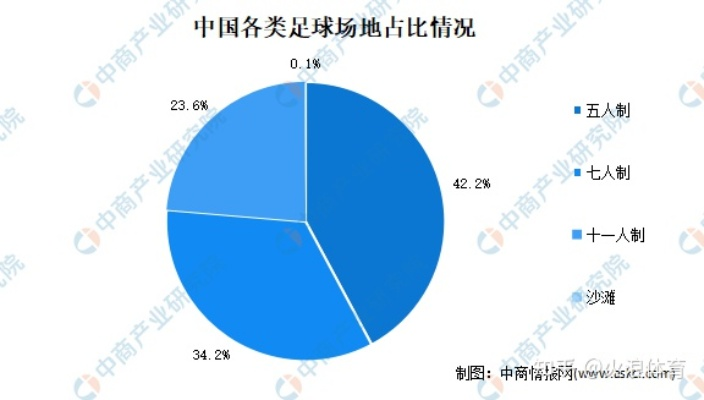 中国足球现状论文分析与展望-第3张图片-www.211178.com_果博福布斯